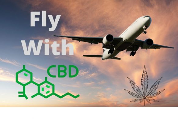 Can You Travel With CBD