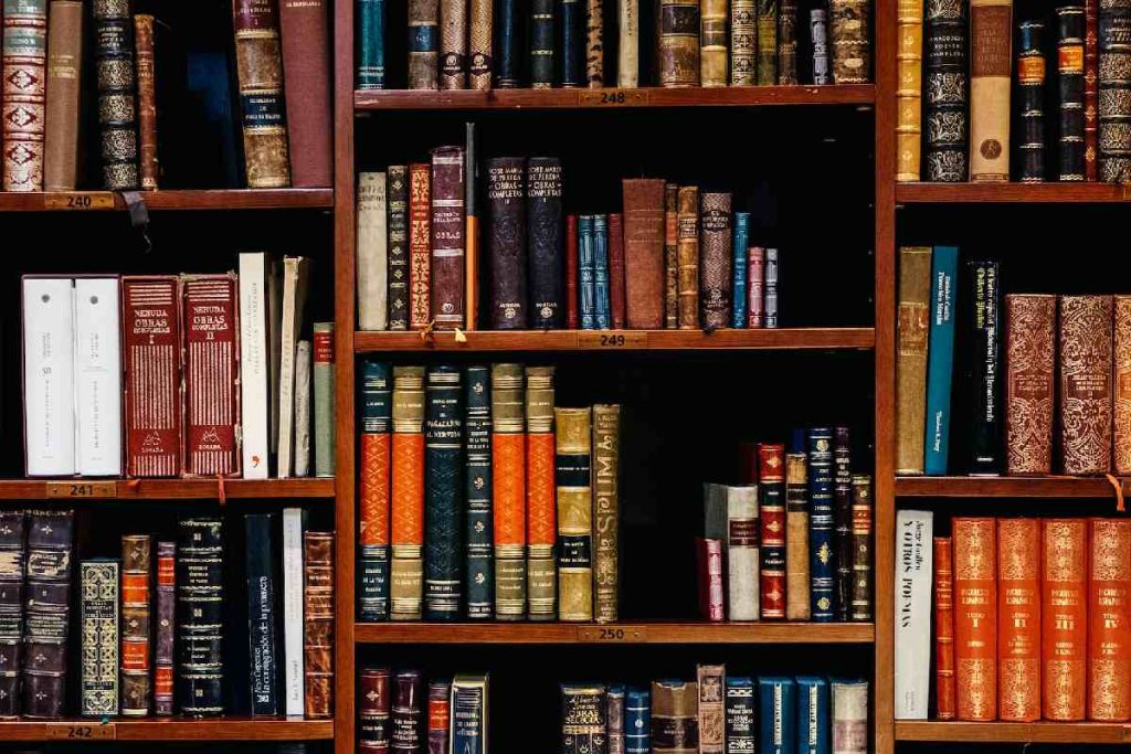 43.760.146/0001-48 Ltda Efae - Escola De Formacao Em Advocacia Empresarial Rio De Janeiro