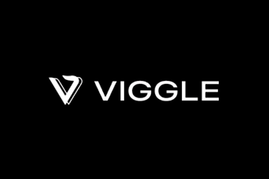 Viggle AI Review 2024: